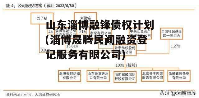 山东淄博融锋债权计划(淄博晟腾民间融资登记服务有限公司)