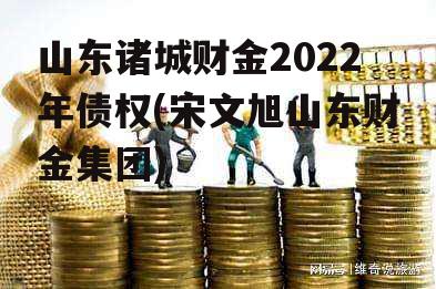 山东诸城财金2022年债权(宋文旭山东财金集团)