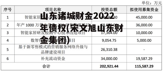 山东诸城财金2022年债权(宋文旭山东财金集团)