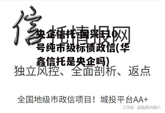 央企信托-国兴110号纯市级标债政信(华鑫信托是央企吗)