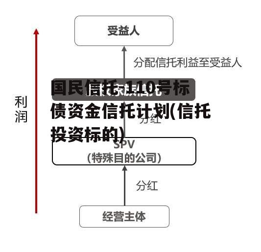 国民信托-110号标债资金信托计划(信托投资标的) 国民信托-110号标债资金信托计划(信托投资标的)