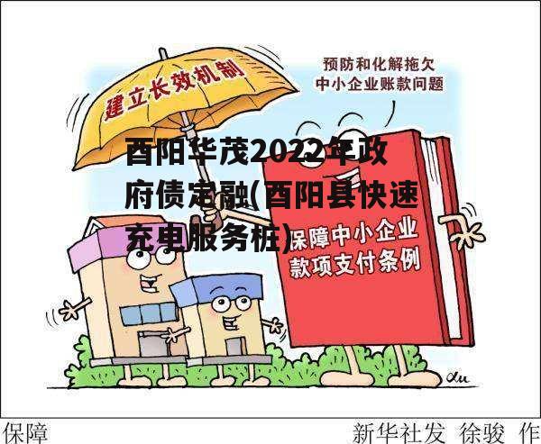 酉阳华茂2022年政府债定融(酉阳县快速充电服务桩)