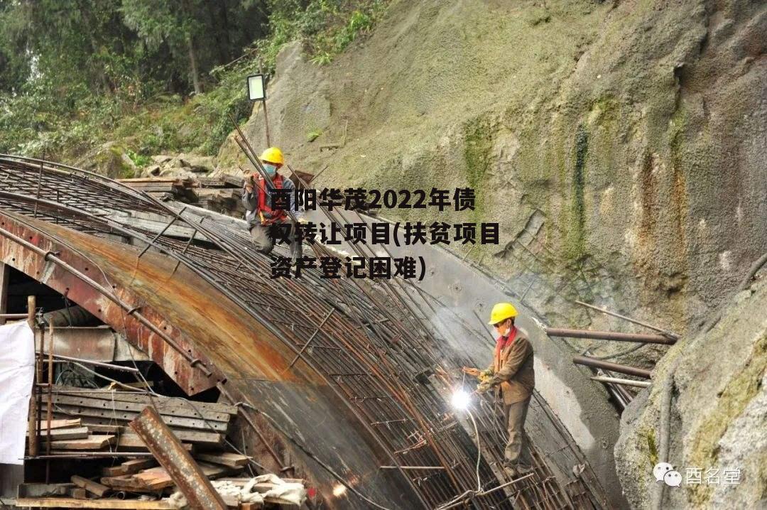 酉阳华茂2022年债权转让项目(扶贫项目资产登记困难)