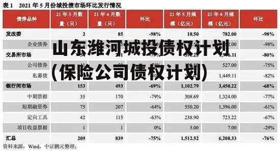 山东潍河城投债权计划(保险公司债权计划)
