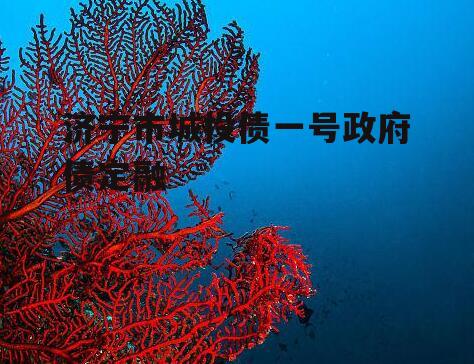 济宁市城投债一号政府债定融