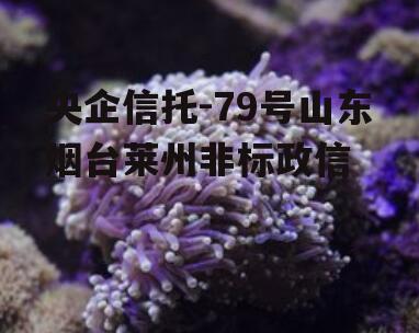 央企信托-79号山东烟台莱州非标政信