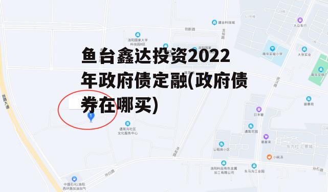鱼台鑫达投资2022年政府债定融(政府债券在哪买)