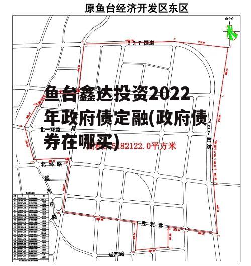 鱼台鑫达投资2022年政府债定融(政府债券在哪买)