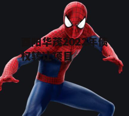 酉阳华茂2022年债权转让项目