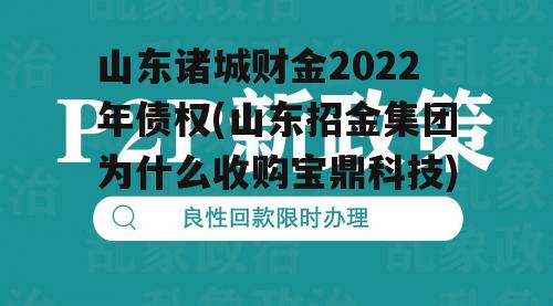山东诸城财金2022年债权(山东招金集团为什么收购宝鼎科技) 山东诸城财金2022年债权(山东招金集团为什么收购宝鼎科技)