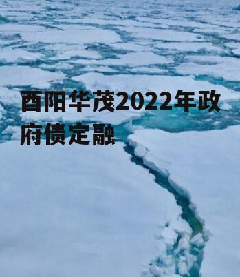 酉阳华茂2022年政府债定融