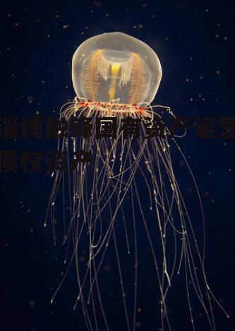 淄博融锋国有资产运营债权资产