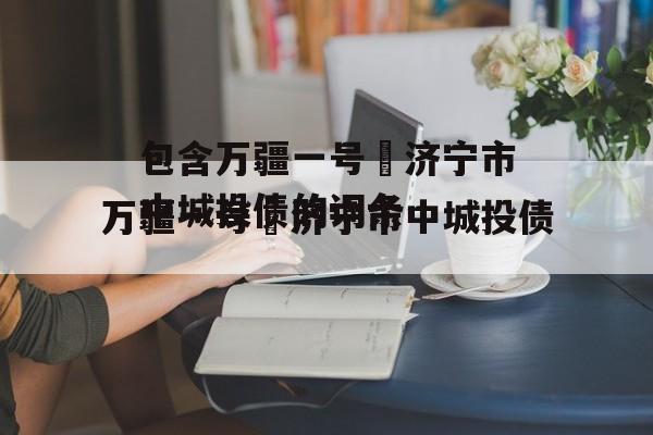 包含万疆一号•济宁市中城投债的词条