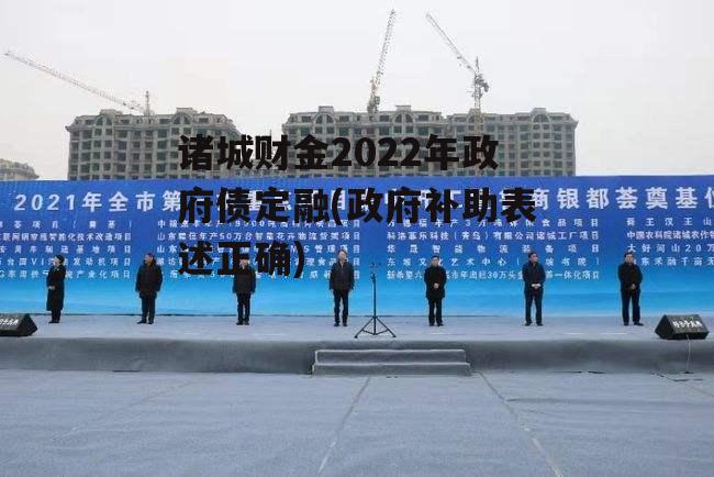 诸城财金2022年政府债定融(政府补助表述正确)