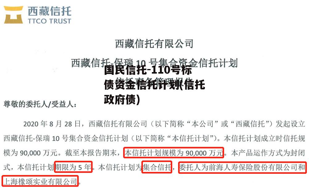 国民信托-110号标债资金信托计划(信托政府债)