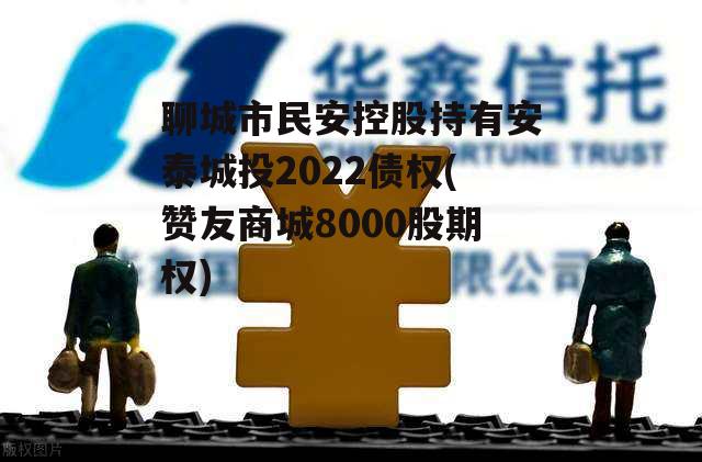 聊城市民安控股持有安泰城投2022债权(赞友商城8000股期权)