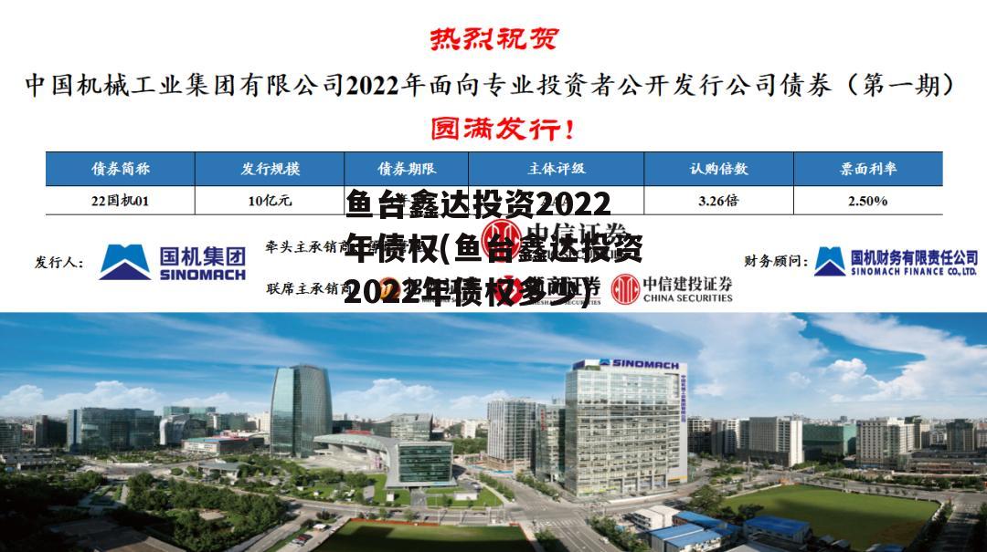 鱼台鑫达投资2022年债权(鱼台鑫达投资2022年债权多少)