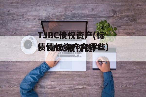 TJBC债权资产(标债债权资产有哪些)