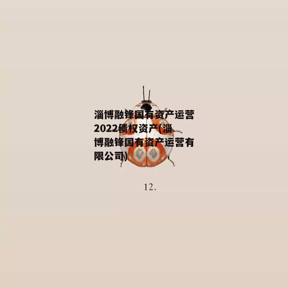 淄博融锋国有资产运营2022债权资产(淄博融锋国有资产运营有限公司)