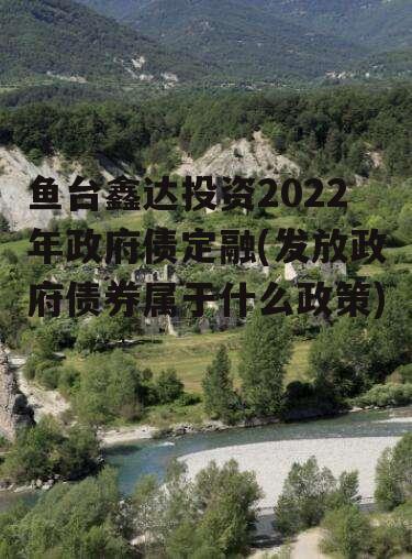 鱼台鑫达投资2022年政府债定融(发放政府债券属于什么政策)
