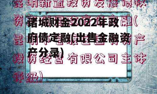 诸城财金2022年政府债定融(出售金融资产分录)
