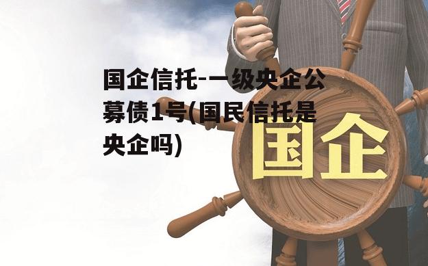 国企信托-一级央企公募债1号(国民信托是央企吗)