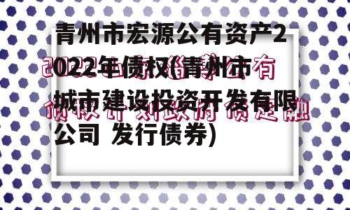 青州市宏源公有资产2022年债权(青州市城市建设投资开发有限公司 发行债券)