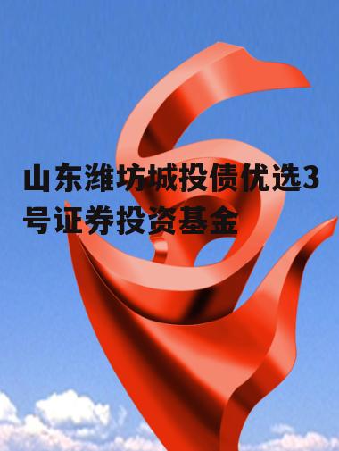 山东潍坊城投债优选3号证券投资基金