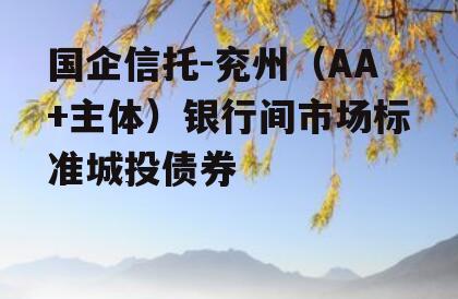 国企信托-兖州（AA+主体）银行间市场标准城投债券