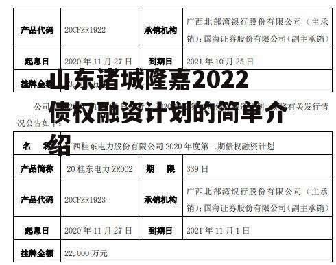 山东诸城隆嘉2022债权融资计划的简单介绍