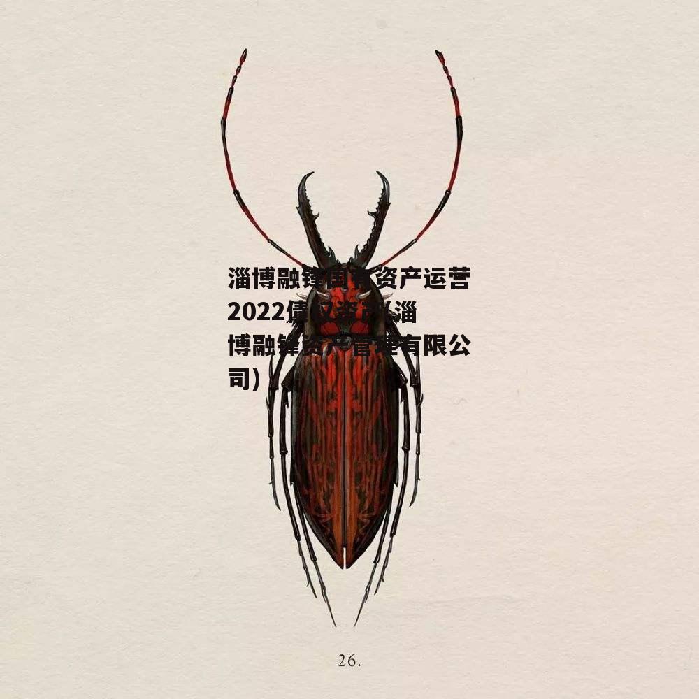 淄博融锋国有资产运营2022债权资产(淄博融锋资产管理有限公司)