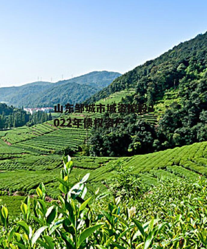 山东邹城市城资控股2022年债权资产