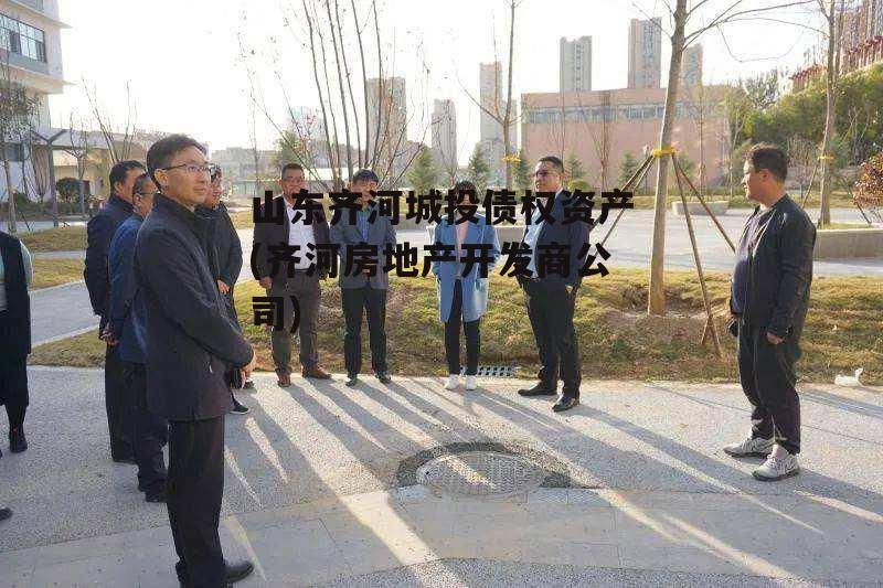 山东齐河城投债权资产(齐河房地产开发商公司)