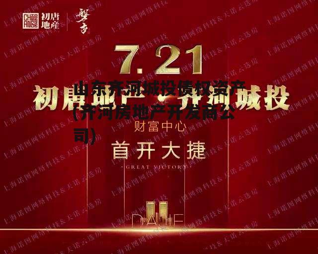 山东齐河城投债权资产(齐河房地产开发商公司)