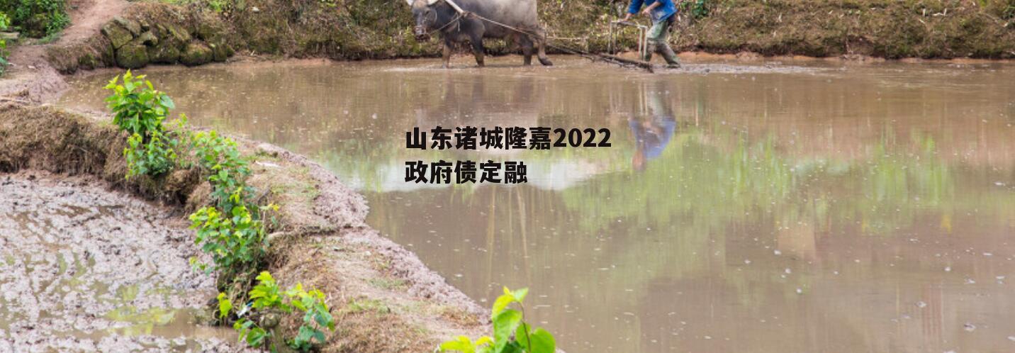 山东诸城隆嘉2022政府债定融