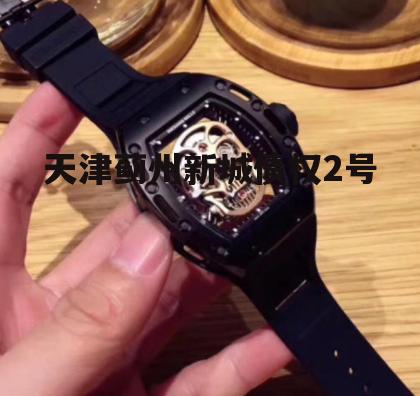 天津蓟州新城债权2号