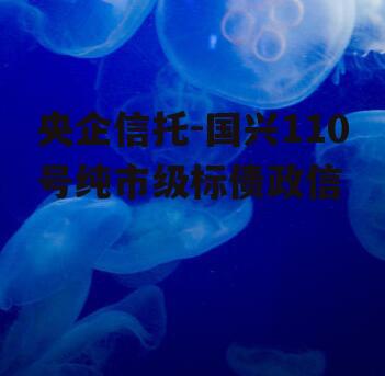 央企信托-国兴110号纯市级标债政信