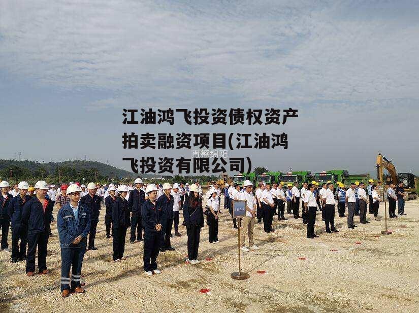 江油鸿飞投资债权资产拍卖融资项目(江油鸿飞投资有限公司)