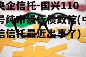 央企信托-国兴110号纯市级标债政信(中信信托最近出事了)