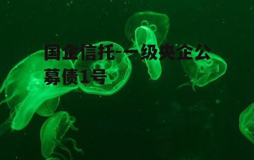 国企信托-一级央企公募债1号