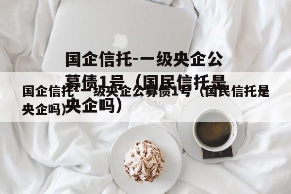 国企信托-一级央企公募债1号（国民信托是央企吗）