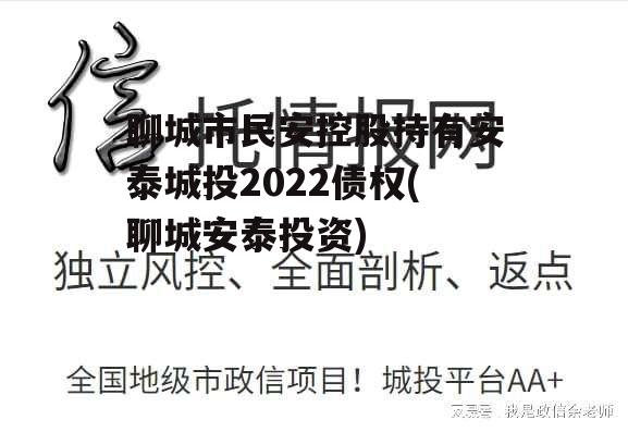 聊城市民安控股持有安泰城投2022债权(聊城安泰投资)