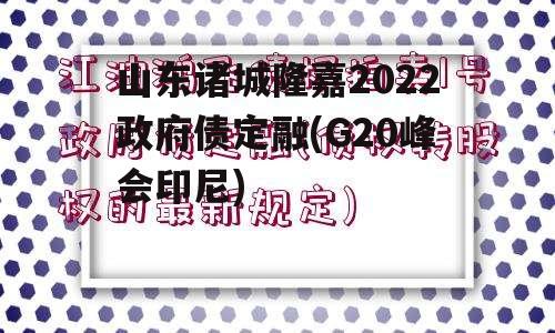 山东诸城隆嘉2022政府债定融(G20峰会印尼)