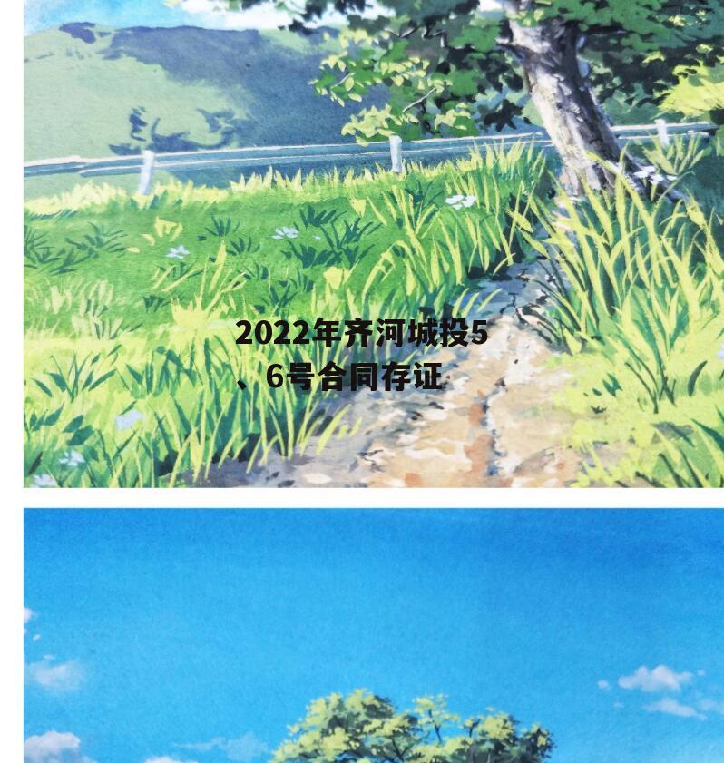 2022年齐河城投5、6号合同存证
