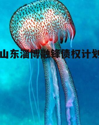 山东淄博融锋债权计划